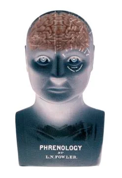 PHRENOLOGY HEAD Stock Photos