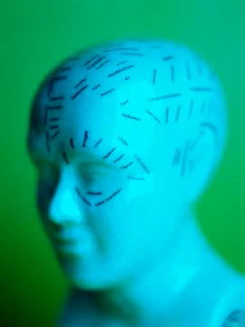 Phrenology model Stock Photos
