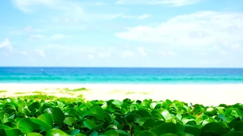 Phuket beach sea, View of beach sea on sun light in the summer. At Karon Beach, 库存影片 124646157