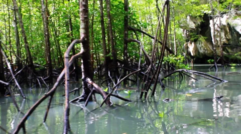 Phuket island Video stock 30444748