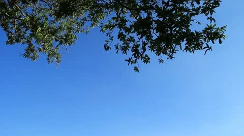 Phuket Khao Rang Stock Footage 11625722