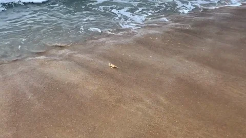 Phuket Life Stock Footage 89555958