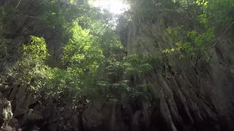 Phuket Sun Thru Trees Stock-Footage 75286036
