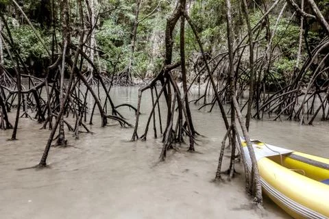Phuket, Thailand Stock Photos