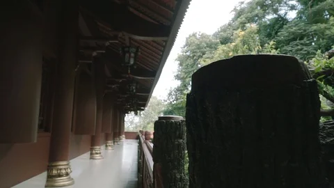 Phuoc Dien Temple Chau Doc Vietnam Stock Footage 116469975