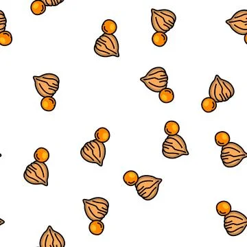 Physalis autumn vector seamless pattern Stock Illustration