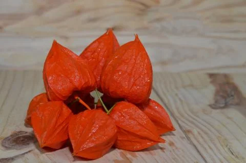 Physalis berries on the table Stock Photos