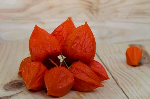 Physalis berries on the table Stock Photos