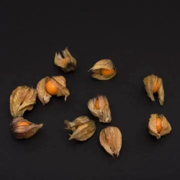 Physalis on black background Stock Photos