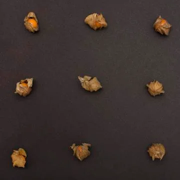 Physalis on black background Stock Photos