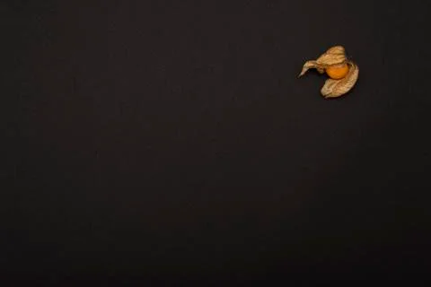 Physalis on black background Stock Photos