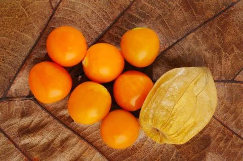 Physalis on a dry leaf Stock Photos