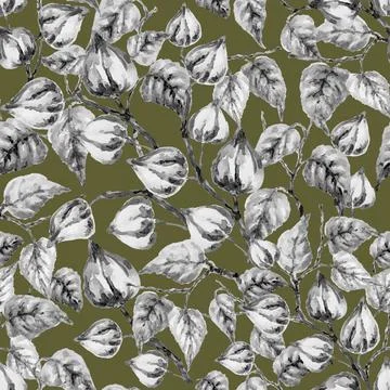 Physalis flower autumn pattern Chinese watercolor black and white green Stock Illustration