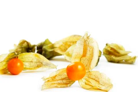 Physalis in front of others Stock Photos