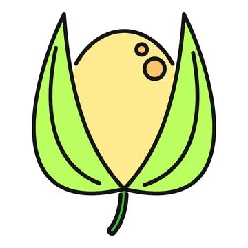 Physalis fruit golden berry icon vector illustration Stock Illustration
