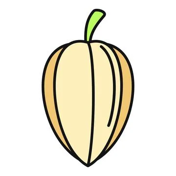 Physalis fruit with husk abstract flat illustration vector Stock Illustration