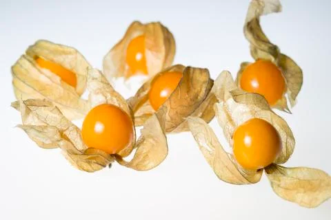 Physalis Fruit with Husk Stock Photos