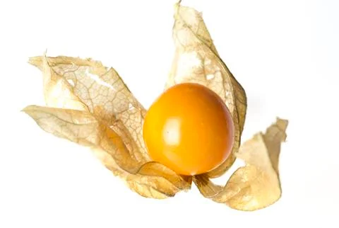 Physalis Fruit with Husk Stock Photos
