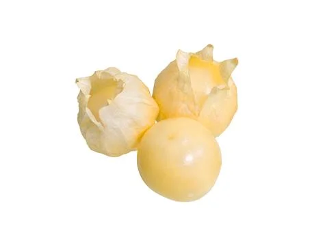 Physalis fruit isolated on white Stock Photos