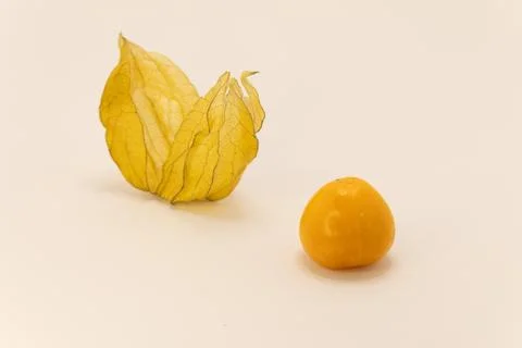 A physalis fruit, or Cape gooseberry, shown with its protective papery husk a Stock Photos