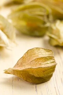 Physalis fruit Stock Photos