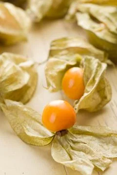 Physalis fruit Stock Photos