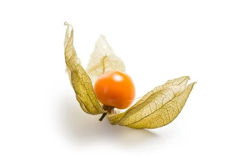 Physalis fruit Stock Photos