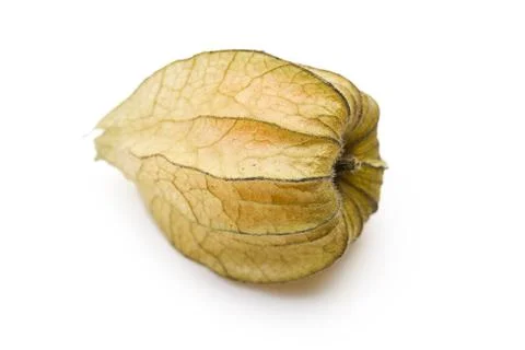 Physalis fruit Stock Photos