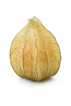 Physalis fruit Stock Photos