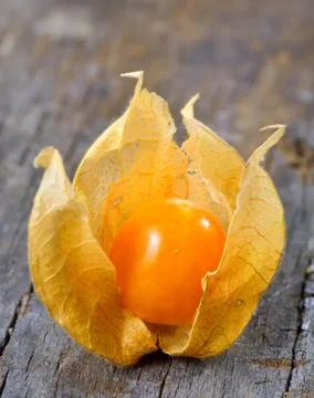 Physalis fruit Stock Photos