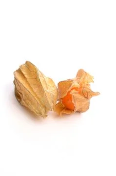 Physalis fruit Stock Photos