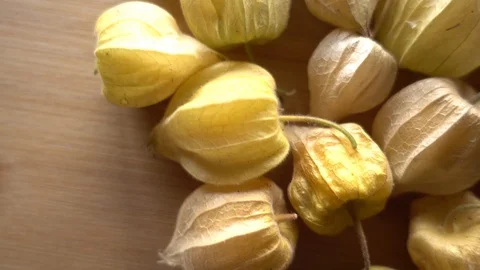 Physalis Fruit in Rotation Stock Footage 112955649