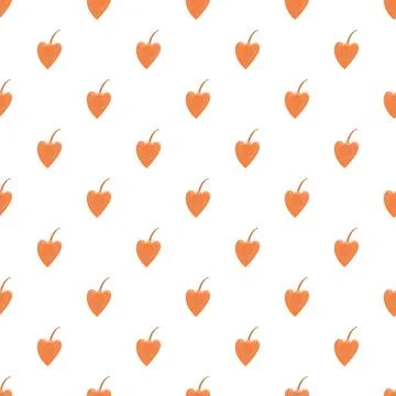 Physalis fruit seamless pattern on white background 스톡 일러스트