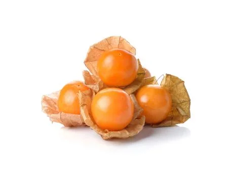 Physalis fruit on a white background Stock Photos