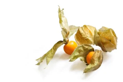 Physalis fruit on white. Stock Photos