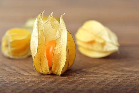 Physalis fruits Stock Photos
