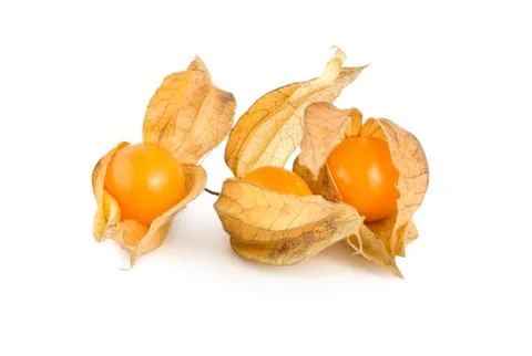 Physalis isolated Stock Photos