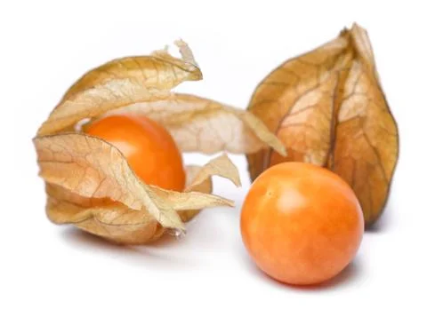 Physalis isolated on white background Stock Photos