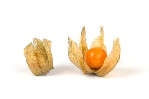 Physalis isolated on white background Stock Photos