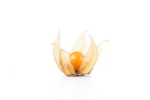 Physalis isolated on white background Stock Photos