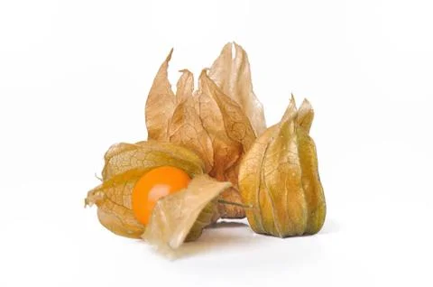 Physalis isolated on white background Stock Photos