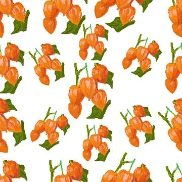 Physalis with leaves pattern. Illustrazione stock