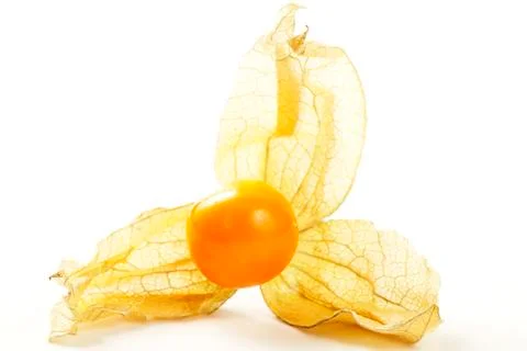 Physalis macro Stock Photos