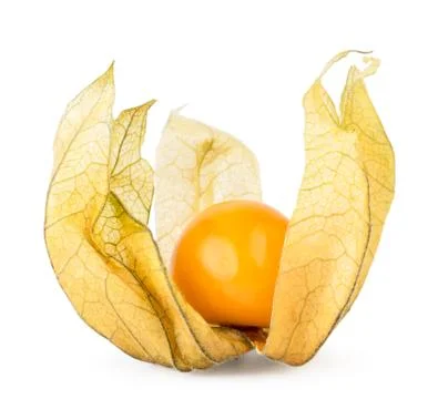 Physalis with open leaves close-up on a white. Isolated. Foto stock