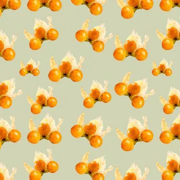 Physalis pattern Stock Illustration