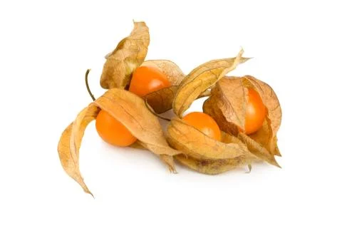Physalis Stock Photos
