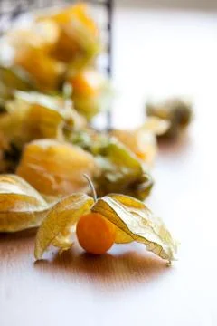Physalis Foto stock