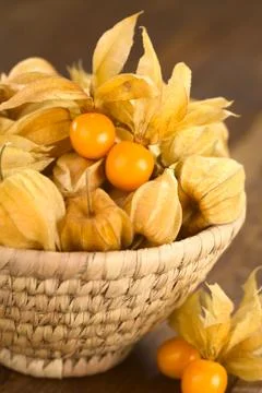 Physalis Stock Photos