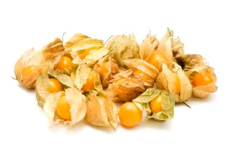 Physalis Stock Photos