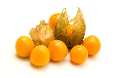 Physalis Stock Photos